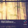 Download track Forest Wanderer (Extended Mix)