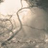 Download track The Broken Branches Of Sentiment