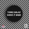 Download track Shake It Babe