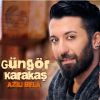 Download track Fosforlu Cevriye