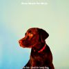 Download track Astonishing Jazz Guitar Trio - Vibe For Dogs