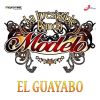 Download track El Guayabo