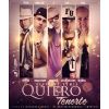 Download track Quiero Tenerte (Official Remix)