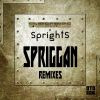 Download track Spriggan (Cybrpnk Hacks It Remix)