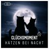 Download track Katzen Bei Nacht (Jason Parker Extended Mix)