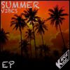 Download track Summer Vibes (Radio Mix)