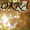 Download track Okra / Tribute To Tyler The Creator