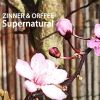 Download track Supernatural (Special Edit)