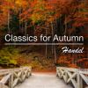 Download track Adagio (From Organconcerto Op. 4, 3, HWV 291)