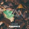 Download track Phoenix