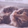 Download track Feelings - Relaxing Cats