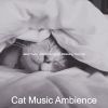 Download track Cool Ambiance For Cats