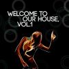 Download track Take Me Home Of House Music