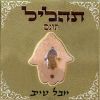 Download track Tahalil Lebar Mitzva