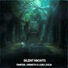 Download track Silent Nights (Slowed + Reverb)