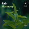 Download track Rain Harmony, Pt. 16