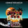 Download track La Mesita / Flor De Piña / Los Diablos De Copala / Son Putleco / Mambo