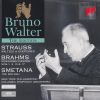 Download track Johannes Brahms. Ungarische Tänze: Nr. 1 G-Moll (Allegro Molto)