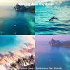 Download track Exquisite Ambience For Beaches