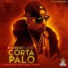 Download track Corta Y Palo