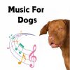 Download track Pet Music For Sleep