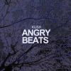 Download track Angry Beats (Original Mix)