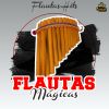 Download track Flauta De Pan