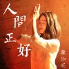 Download track 人间正好 (伴奏)