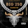 Download track Big 250