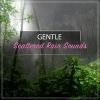 Download track Rainforest Showers