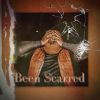 Download track Been Scarred