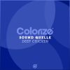 Download track Deep Chicken (Extended Mix)