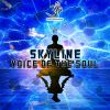 Download track Voice Of The Soul