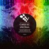 Download track Spectrum (Original Mix)