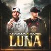 Download track Luna