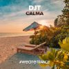 Download track Calma (Extended Mix)