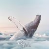 Download track Whale Song