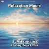 Download track Relaxation Music, Pt. 23