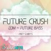 Download track Future Crush