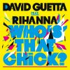 Download track Who'S That Chick (Original Mix)