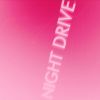 Download track Night Drive