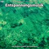 Download track Entspannungsmusik Pt. 40