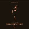 Download track Where Are You Now (VIP Instrumental)