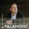 Download track Dubravko Palanović: Koncert Za Violončelo I Orkestar: Ll