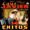 Download track Vaquero Soy