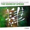 Download track The Sound Of Spring (Extended Mix)