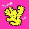 Download track Ingwer (Extended Mix)