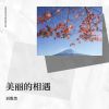 Download track 夜色的旋律