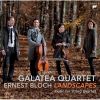 Download track 13 String Quartet In G III