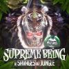 Download track Jungle